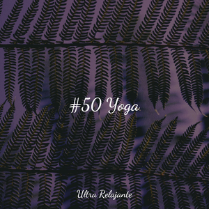 Niebla en La Ventana