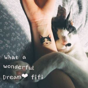 What a Wonderful Dream