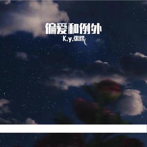 偏爱和例外 prod.YZZ