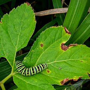 JUST ANOTHER THURSDAY (22年12月1日)