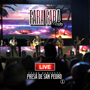 Noche Perfecta (En Vivo)