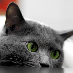 原来她不够爱我