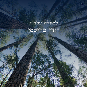 למעלה עלה