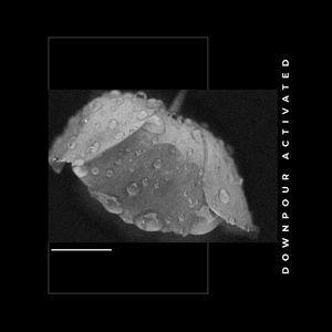 Another Day of Showers