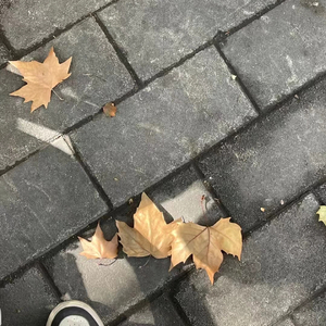 你已把我的心磨平