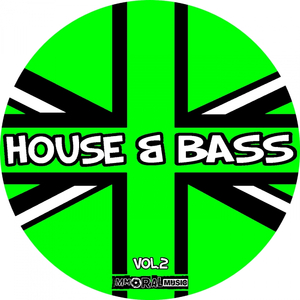 I Wanna **** You (Original Mix)