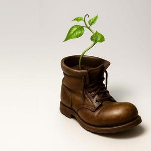 'Toc' freestyle session #249producciones