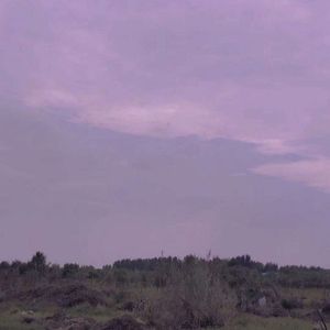 你是我最愚蠢的一次浪漫