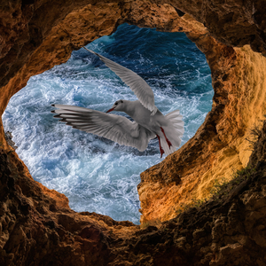 Guard (Original Mix)