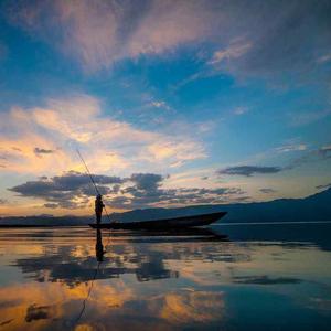 爱上了你但不需要任何理由