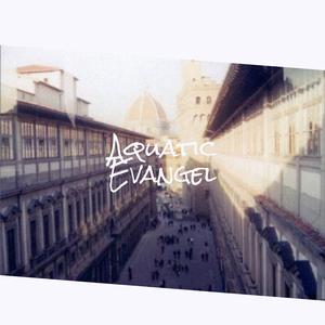 Electrical Experience