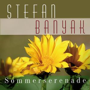 Ich sehe die Tränen in Deinen Augen