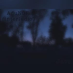 AduNOF (interludio)