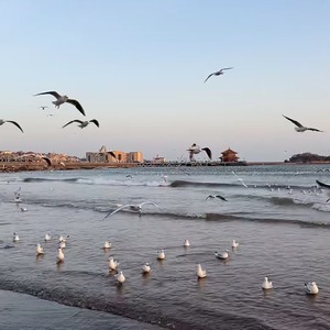 一个人想着一个人.wav