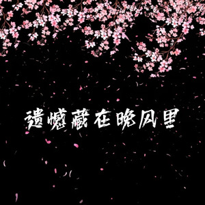 遗憾藏在晚风里