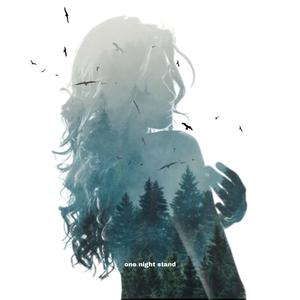 One Night Stand