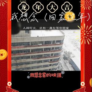 我想念（回家过年）