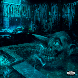 Too much pain no more