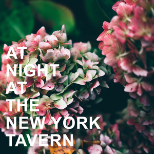 Coming On the Hudson