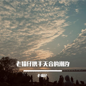 老猫仔携手天音的潮汐