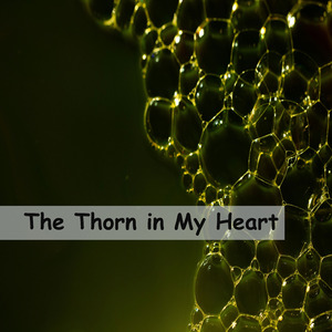 The Thorn in My Heart