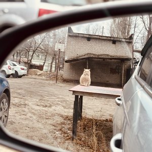 Что бы я делал