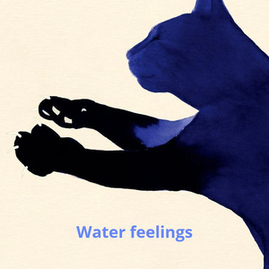Water Feelings