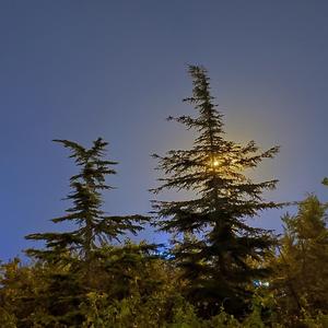 无与伦比的美丽