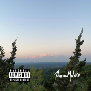 con(t)rol (demo 01.26.20)