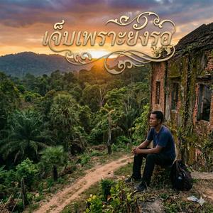 เจ็บเพราะยังรอ