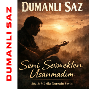 SENİ SEVMEKTEN USANMADIM