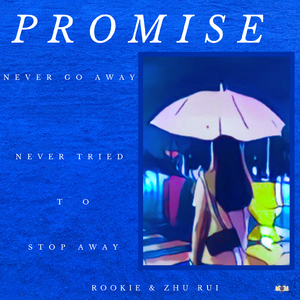 Promise (Prod EVOMUSIC）