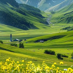 《Harp Melody in the 063