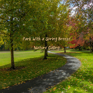 봄바람이 부는 공원