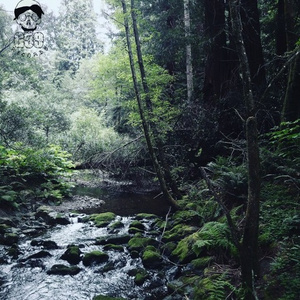 SARCOPHAGUS II (Prod. Baker Phonk)