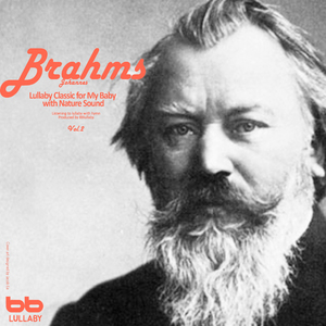 Brahms- Violin Sonata No.3 In D Minor Op.108 - IV. Presto Agitato (With Forest Sound)