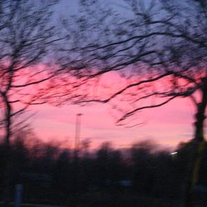 他(prod by coffee idol)