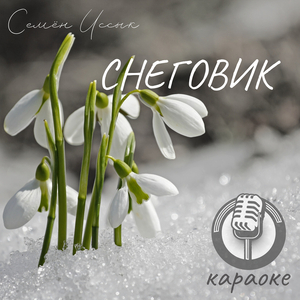 Снеговик (караоке)