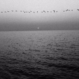 Ecstasy (MYSTXRIVL x SOKOS FLIP)