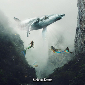 Access (Original Mix)