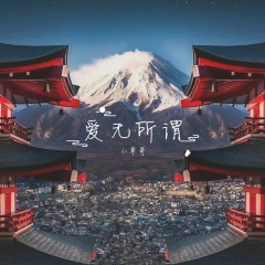 下药就下蒙汗药 (DJ版)