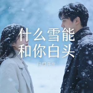 什么雪能和你白头