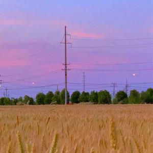 我在昨天的梦里又看见了你