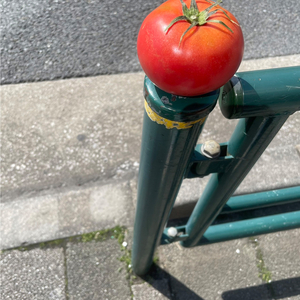 ドンドドンド音頭