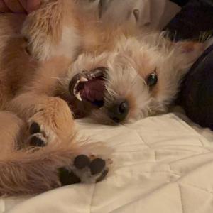 산책가자 게으름뱅이 엄마