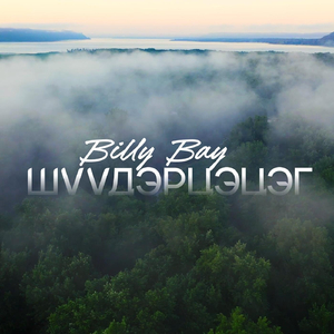 Шүүдэрцэцэг