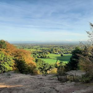 The Laughter of Rats