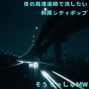 深夜のオーバーパス