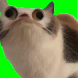 AMERIKKKAN IDOL (sped up)