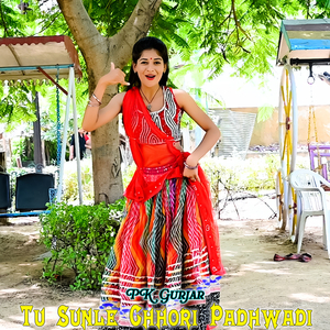 Tu Sunle Chhori Padhwadi